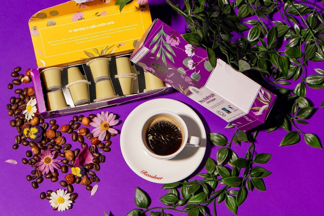 Arabica vs Robusta: A Guide to the two most popular coffee beans